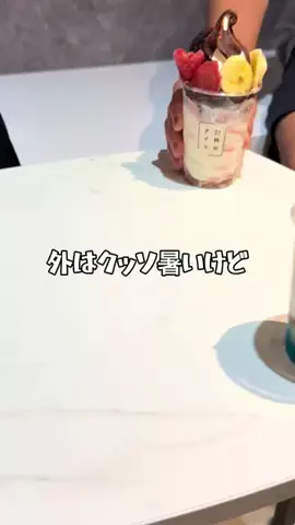 コカワウソのTikTok投稿