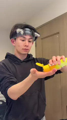 ペイの暮らし箱のTikTok投稿