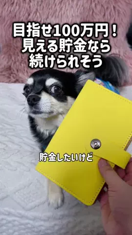 レオンママ🌻🐯｜バズ商品紹介のTikTok投稿