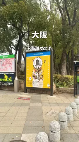さぴのTikTok投稿