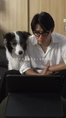 まさ” ボーダーコリーとふたり暮らし”のTikTok投稿