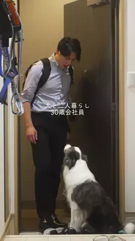まさ” ボーダーコリーとふたり暮らし”のTikTok投稿
