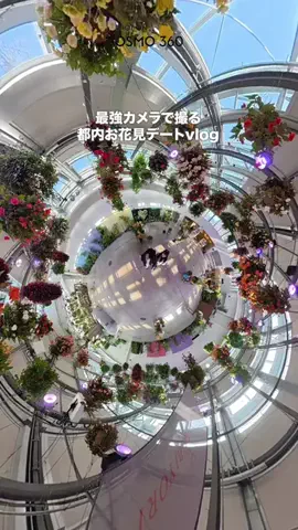 旅する2人のTikTok投稿