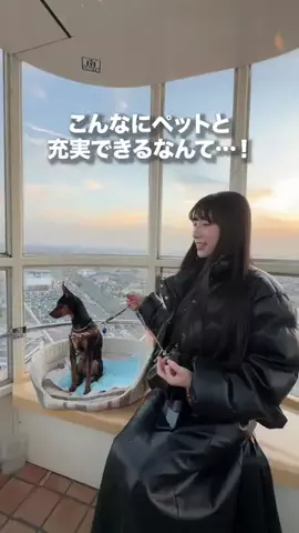 旅する2人のTikTok投稿