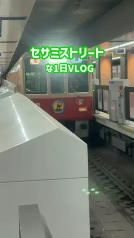 唯愛のTikTok PR投稿：SESAME STREETな1日^_^ かわいい一日になりました#pr #セサミス…