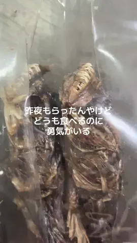 SWITCHILLのTikTok投稿