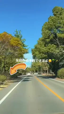 SWITCHILLのTikTok投稿