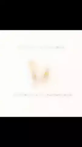 ほん。のTikTok投稿