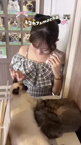 凛のTikTok投稿