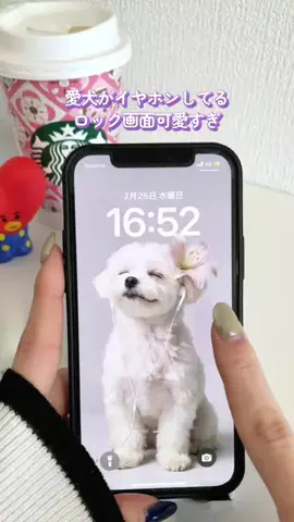 COCO｜インスタストーリーの先生のTikTok投稿