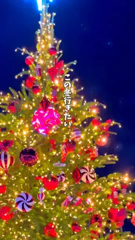 ぐりー☘️関西子連れ旅行✈️おでかけ🚗のTikTok投稿