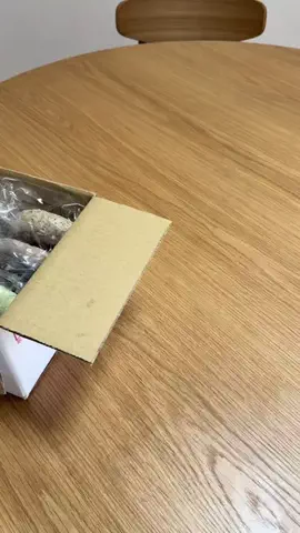りなのTikTok投稿