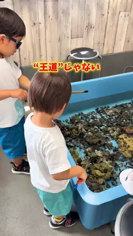 ぐりー☘️関西子連れ旅行✈️おでかけ🚗のTikTok投稿