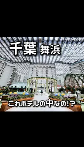 のりママのTikTok投稿