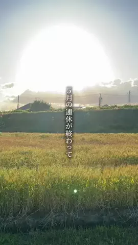 ぎふのことのTikTok投稿
