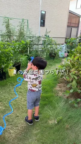はる｜年間100種類の野菜を育てる3児のママ🍅のTikTok投稿