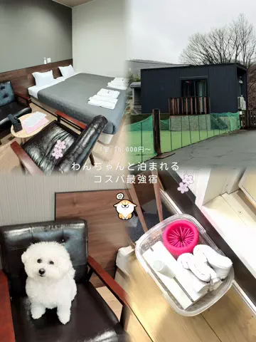 しゃま ✈️ ⁑ travelerのTikTok投稿