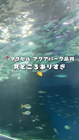 のりママのTikTok投稿