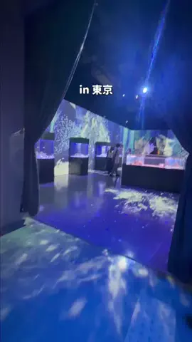 しゃま ✈️ ⁑ travelerのTikTok投稿
