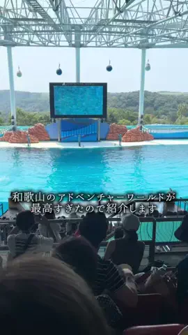りさの休日🥂🐰🧡のTikTok投稿