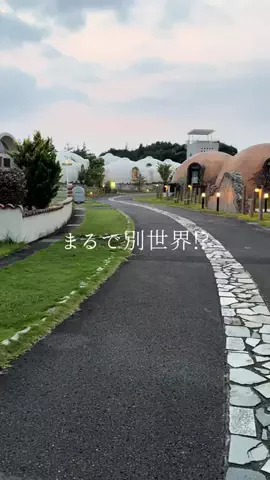 りさの休日🥂🐰🧡のTikTok投稿