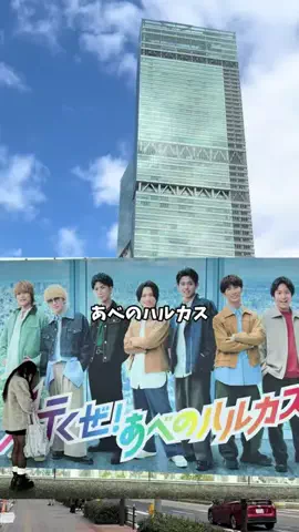 みやも人形のTikTok投稿