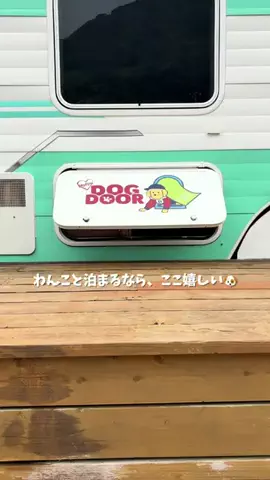 ぜんさく兄弟のTikTok投稿