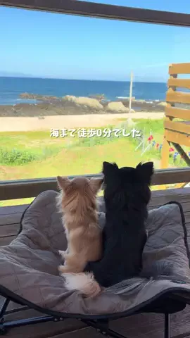 ぜんさく兄弟のTikTok投稿