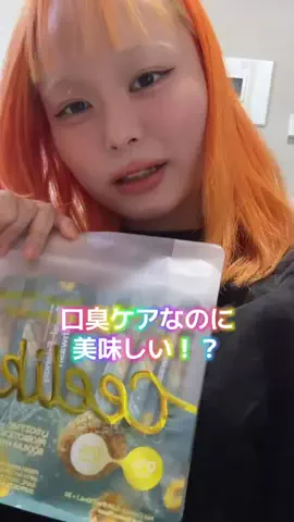 チビちゃんのTikTok投稿