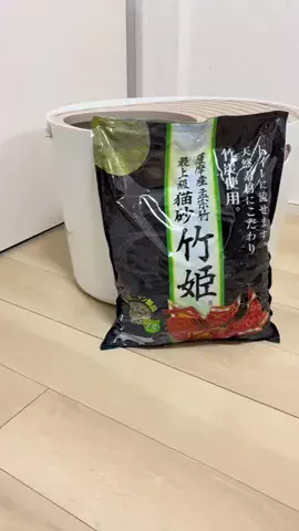 ポテとおこげのTikTok投稿