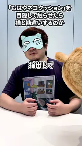 いいモノギークスのTikTok投稿