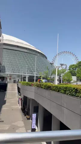 こんにゃくちゃん/週末トラベラー✈️のTikTok投稿