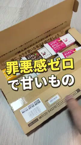 あんこのTikTok投稿