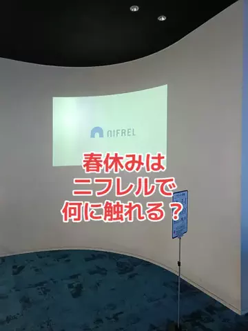 野良猫　イチくんとナナちゃんのTikTok投稿