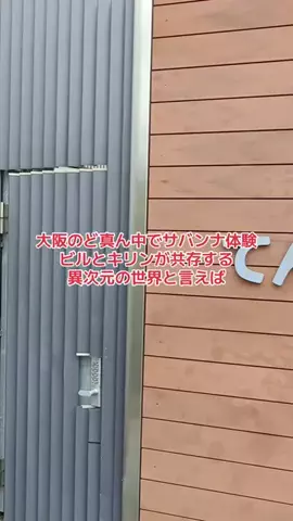 野良猫　イチくんとナナちゃんのTikTok投稿