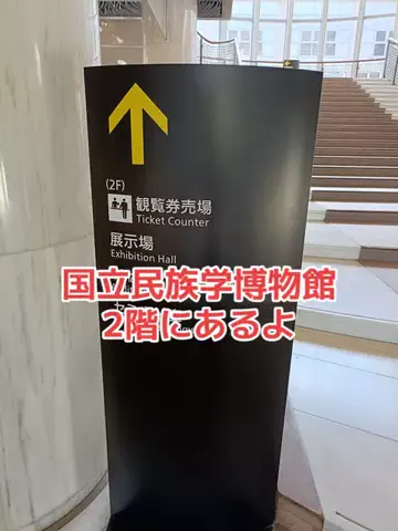 野良猫　イチくんとナナちゃんのTikTok投稿