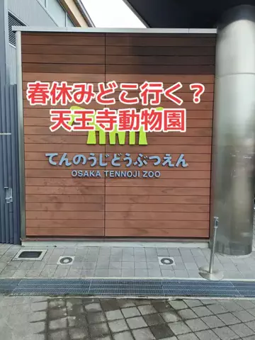 野良猫　イチくんとナナちゃんのTikTok投稿