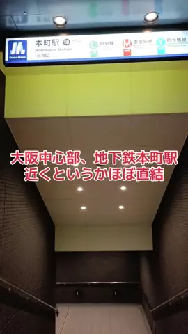 野良猫　イチくんとナナちゃんのTikTok投稿