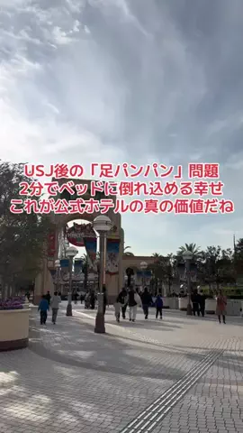 野良猫　イチくんとナナちゃんのTikTok投稿