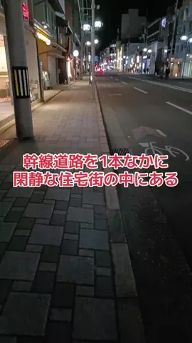 野良猫　イチくんとナナちゃんのTikTok投稿