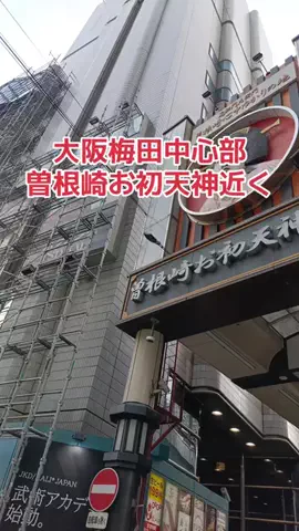 野良猫　イチくんとナナちゃんのTikTok投稿