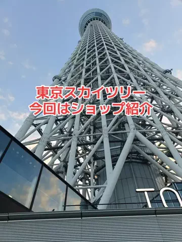 野良猫　イチくんとナナちゃんのTikTok投稿