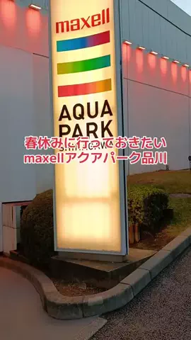 野良猫　イチくんとナナちゃんのTikTok投稿