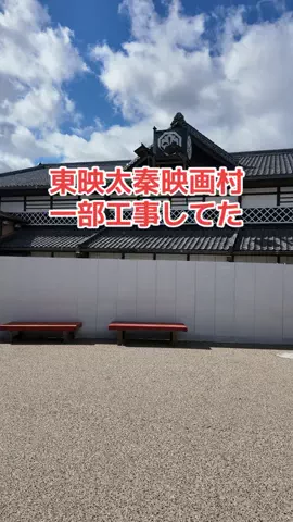 野良猫　イチくんとナナちゃんのTikTok投稿