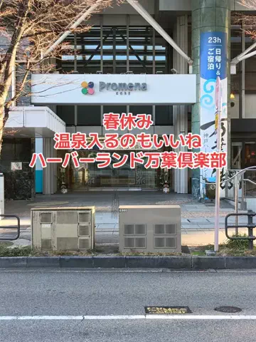 野良猫　イチくんとナナちゃんのTikTok投稿