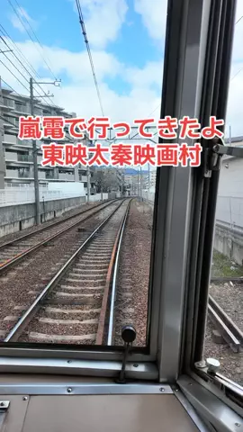 野良猫　イチくんとナナちゃんのTikTok投稿
