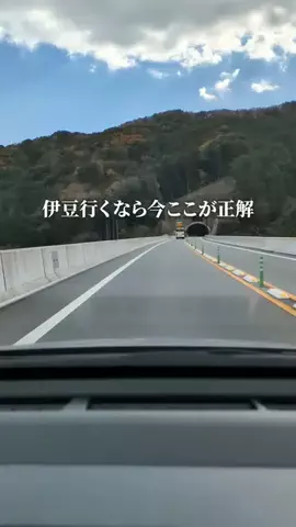 静岡グルメ／SHIZUOKA SELECTのTikTok投稿