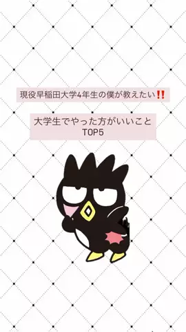 早稲田就活生のTikTok投稿