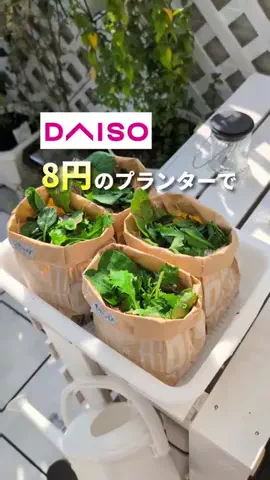 楽して暮らしたいのTikTok投稿
