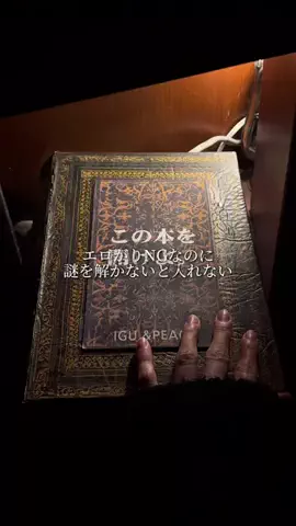 ワニグルメのTikTok投稿